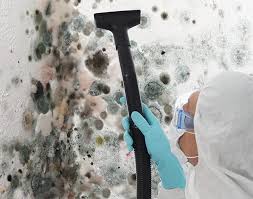 Best Attic Mold Removal in West Freehold, NJ